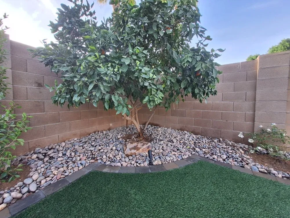 Reliable outdoor landscaping for beautiful yards in Phoenix, AZ by AVO Hardscapes
