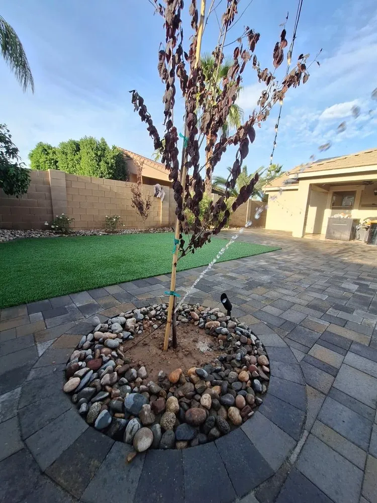 Affordable yard cleanup service in Phoenix, AZ by AVO Hardscapes