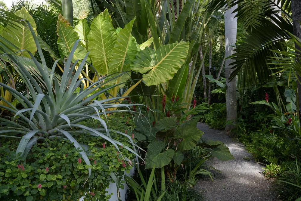 Top-rated lawn mowing service for residential properties across Miami, FL - Avo Property Management