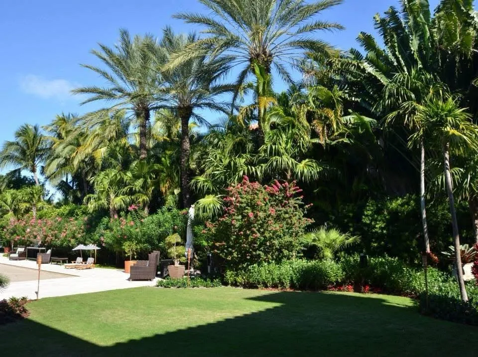 Custom outdoor landscaping in Miami, FL by Avo Property Management