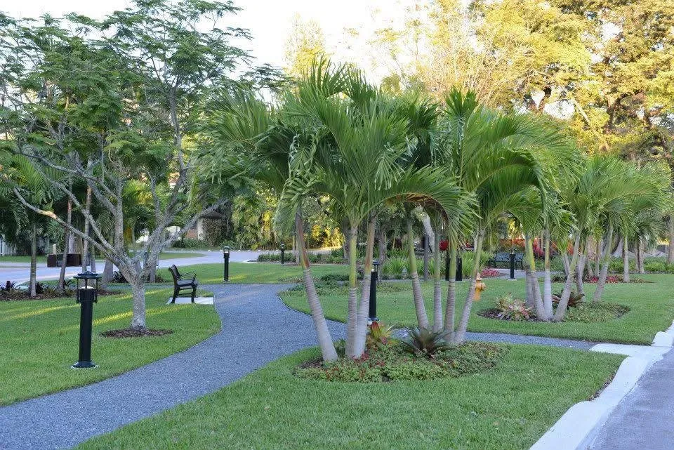 Custom yard cleanup service in Miami, FL by Avo Property Management