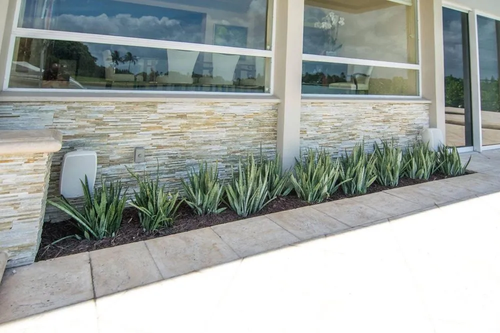 Expert lawn care service for year-round maintenance across Miami, FL - Avo Property Management