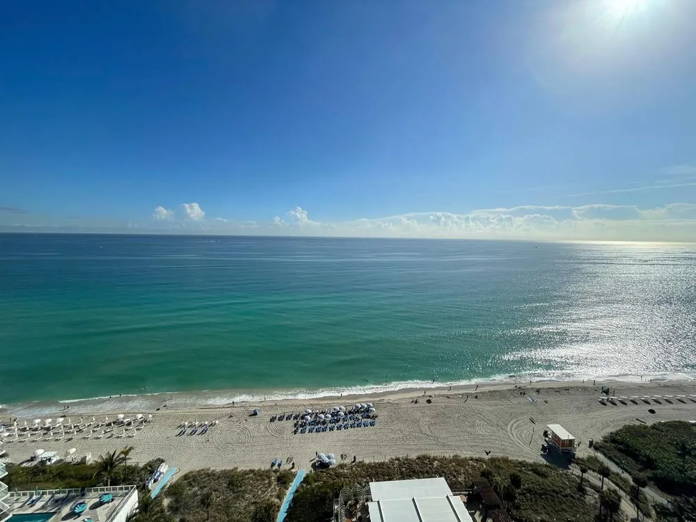 Local yard maintenance with custom design across Miami, FL - Avo Property Management