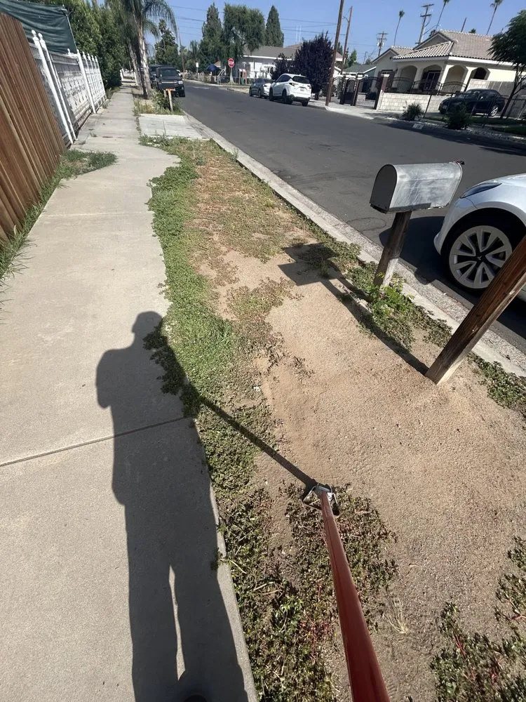 Top-rated landscape design in Perris, CA by Avocado's Landscaping