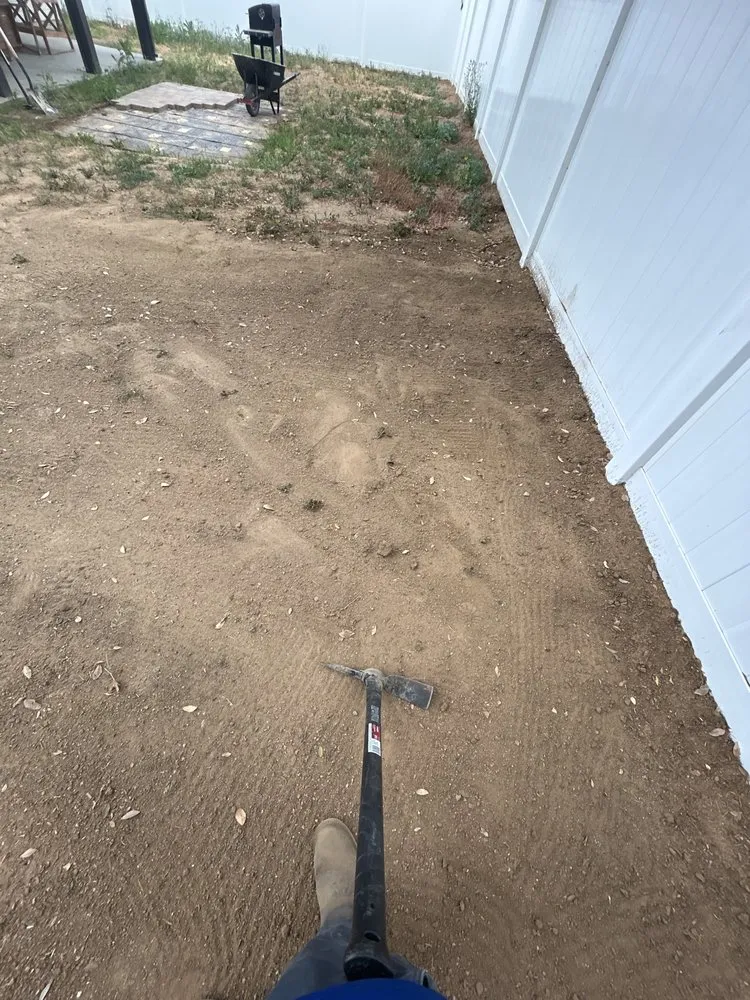 Affordable yard cleanup service in Perris, CA by Avocado's Landscaping