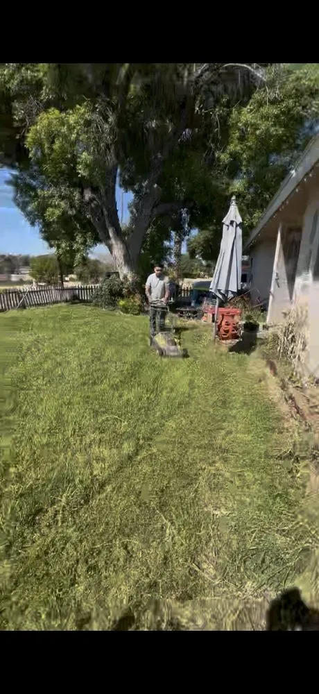 Top-rated outdoor landscaping for outdoor upgrades across Perris, CA - Avocado's Landscaping