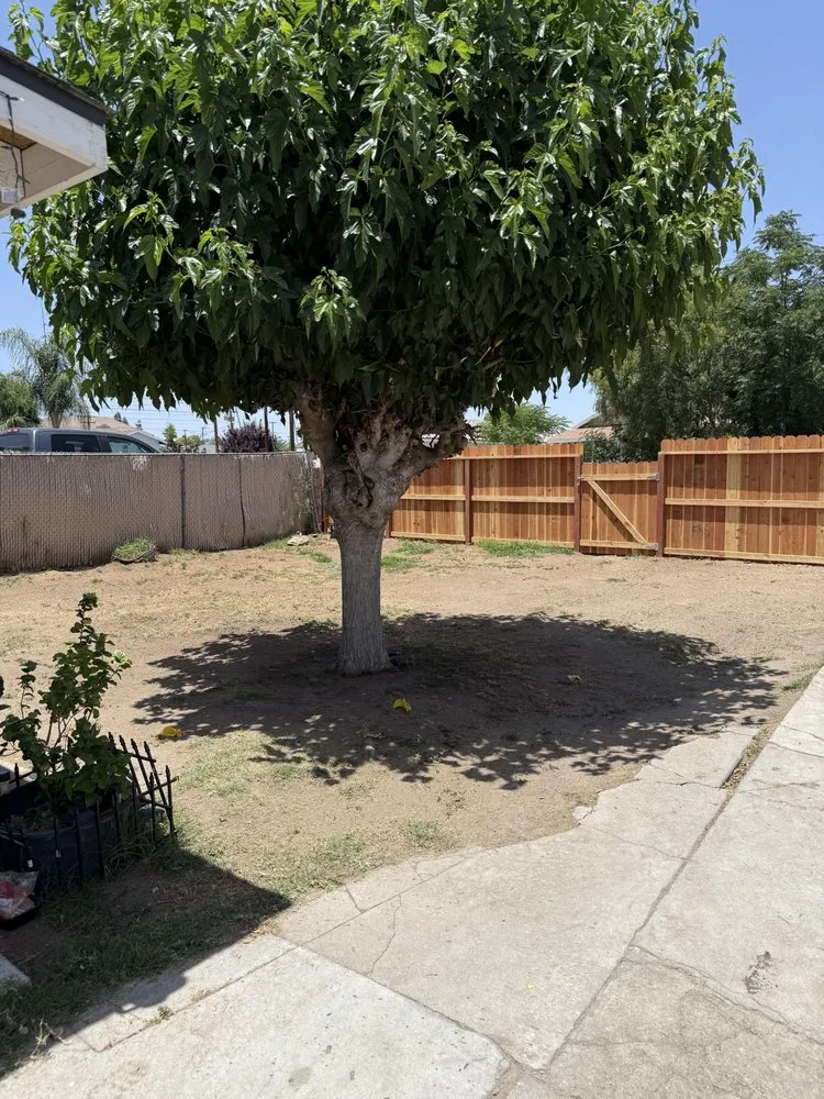 Top-rated lawn care service for outdoor upgrades across Perris, CA - Avocado's Landscaping