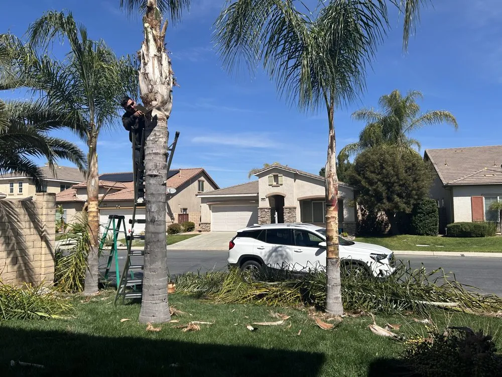 Trusted outdoor landscaping in Perris, CA by Avocado's Landscaping