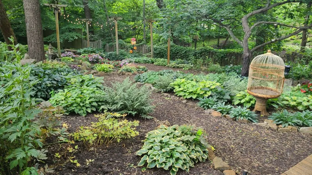 Expert yard cleanup service experts serving Avon, IN - Avon Gardens