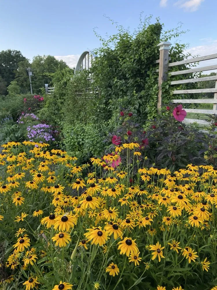 Trusted outdoor landscaping with custom design across Avon, IN - Avon Gardens