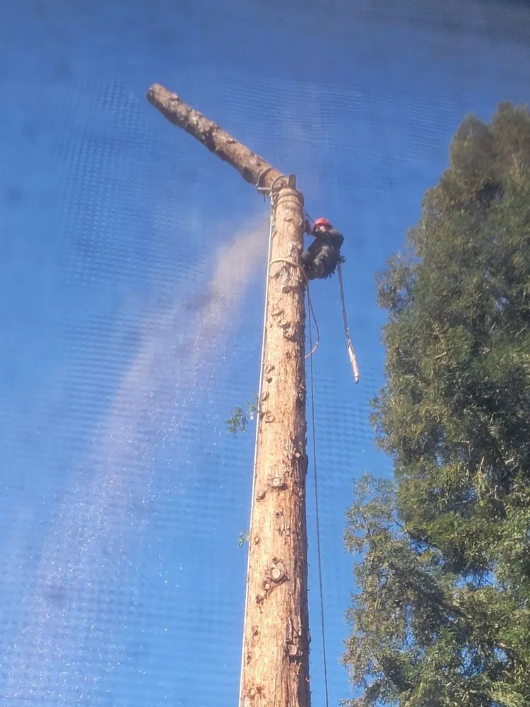 Local garden landscaping for year-round maintenance in Fair Oaks, CA by AVR Landscape