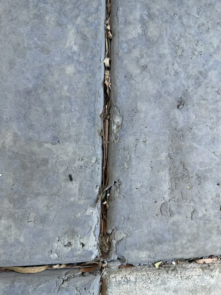 Expert landscaping services in Fair Oaks, CA - AVR Landscape