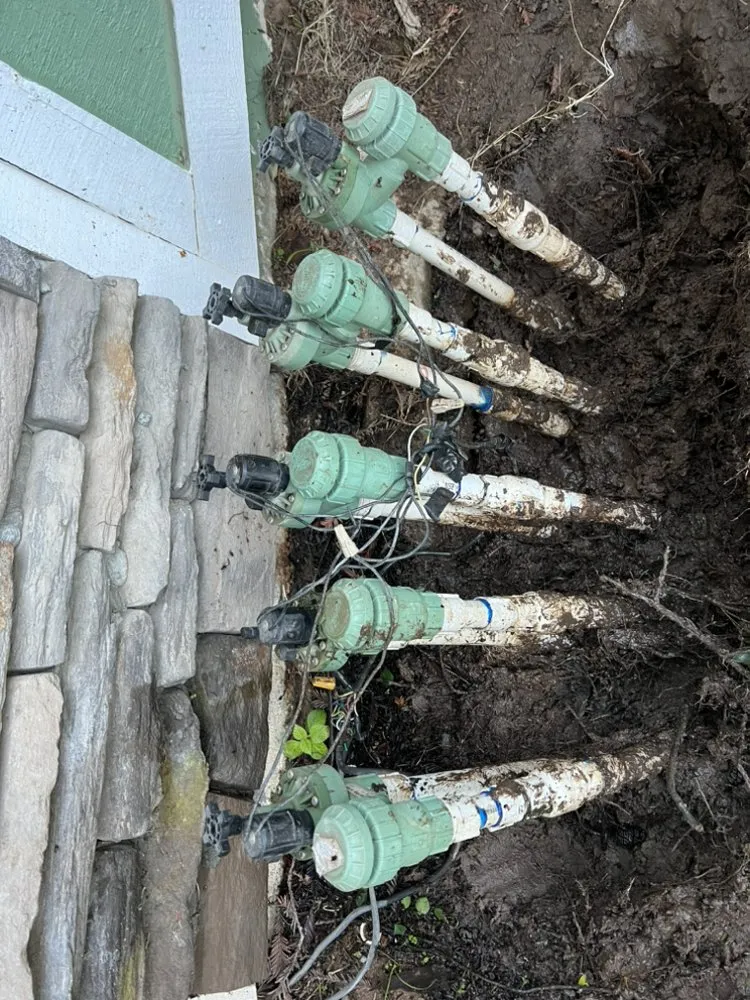 Expert yard maintenance in Fresno, CA by Avr Lawns Service