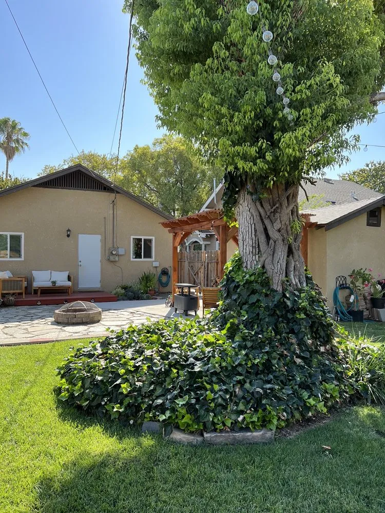 Expert yard maintenance in Fresno, CA by Avr Lawns Service