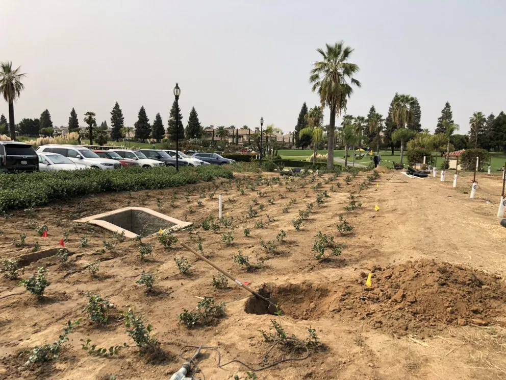 Professional yard maintenance for homes across Fresno, CA - Avr Lawns Service