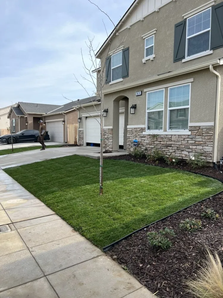 Top-rated landscape installation in Fresno, CA - Avr Lawns Service