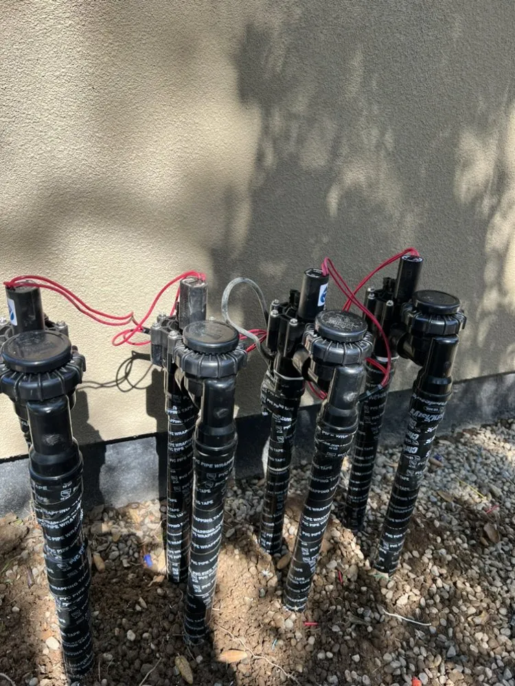 Trusted residential landscaping experts serving Fresno, CA - Avr Lawns Service