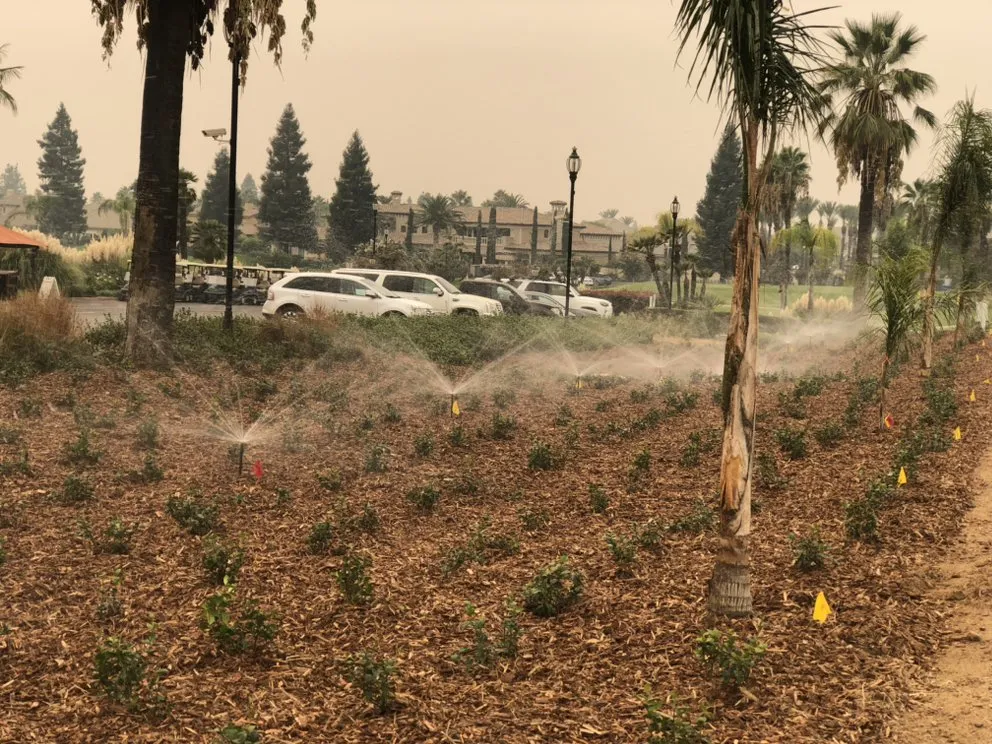 Expert lawn care service in Fresno, CA - Avr Lawns Service