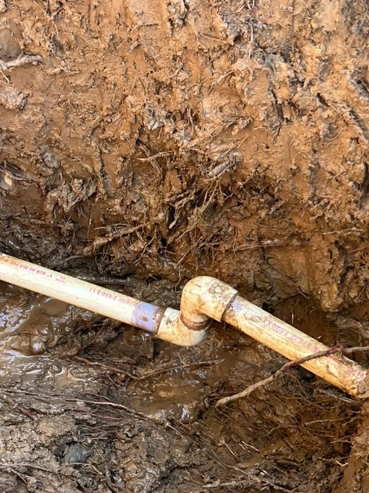 Reliable landscaping services in Fresno, CA - Avr Lawns Service