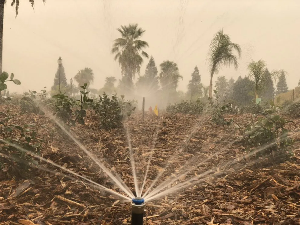 Trusted outdoor landscaping experts serving Fresno, CA - Avr Lawns Service