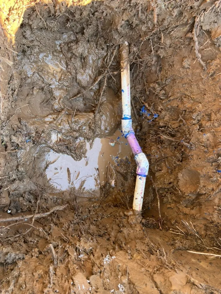 Local outdoor landscaping experts serving Fresno, CA - Avr Lawns Service