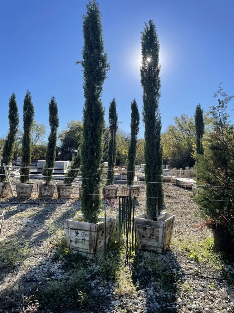 Expert outdoor landscaping experts serving Round Rock, TX - AVR Tree Services & Landscaping