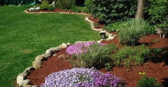 Expert yard cleanup service experts serving Loveland, CO - AVS Landscape Services