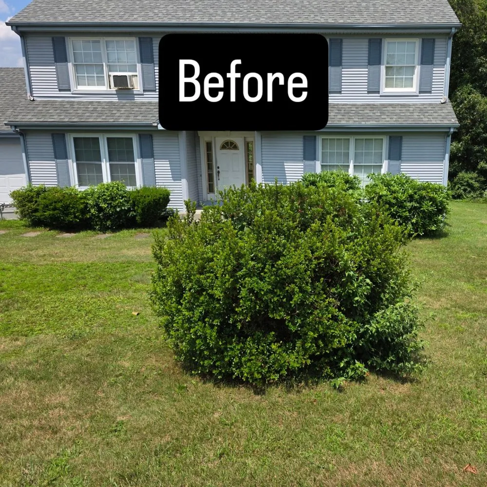 Affordable landscaping services in Quaker Hill, CT - Avset Advantage