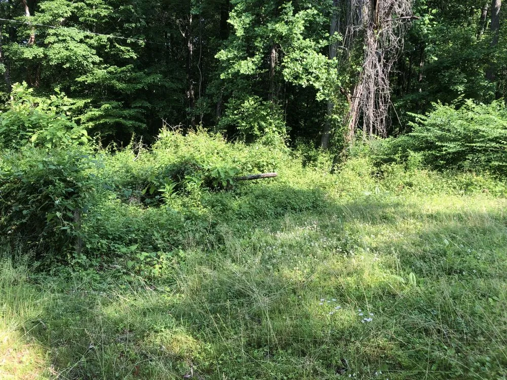 Local landscaping services in Baltimore, MD by Aw Cleaning and Landscaping