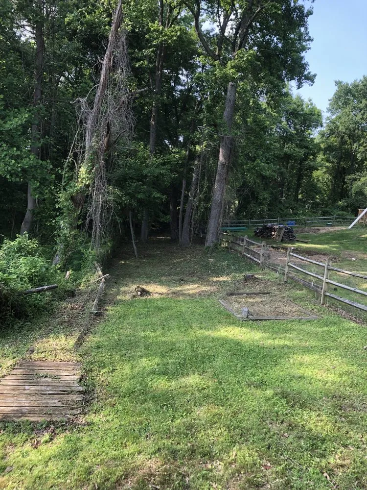 Top-rated landscape design for beautiful yards in Baltimore, MD by Aw Cleaning and Landscaping