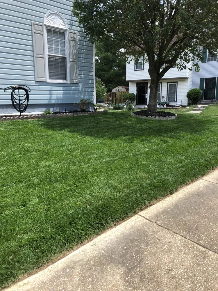 Custom yard cleanup service experts serving Baltimore, MD - Aw Cleaning and Landscaping