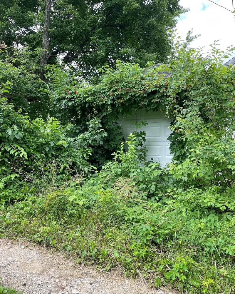 Affordable landscaping services for year-round maintenance across Baltimore, MD - Aw Cleaning and Landscaping