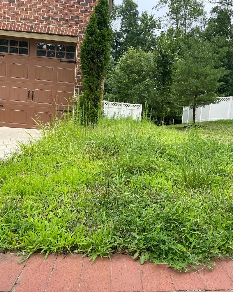 Local outdoor landscaping for homes across Baltimore, MD - Aw Cleaning and Landscaping