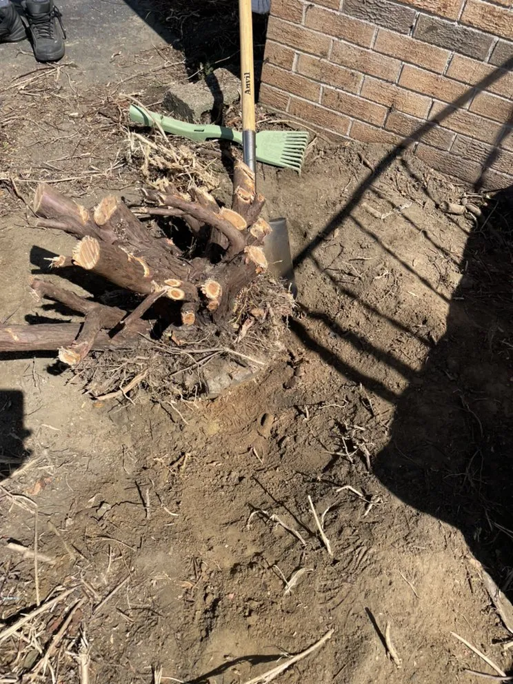 Trusted outdoor landscaping experts serving Baltimore, MD - Aw Cleaning and Landscaping