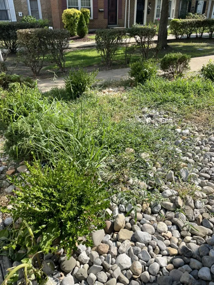 Expert landscaping services for homes across Baltimore, MD - Aw Cleaning and Landscaping