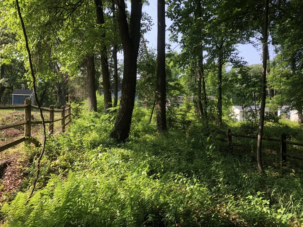 Expert lawn mowing service for residential properties across Baltimore, MD - Aw Cleaning and Landscaping