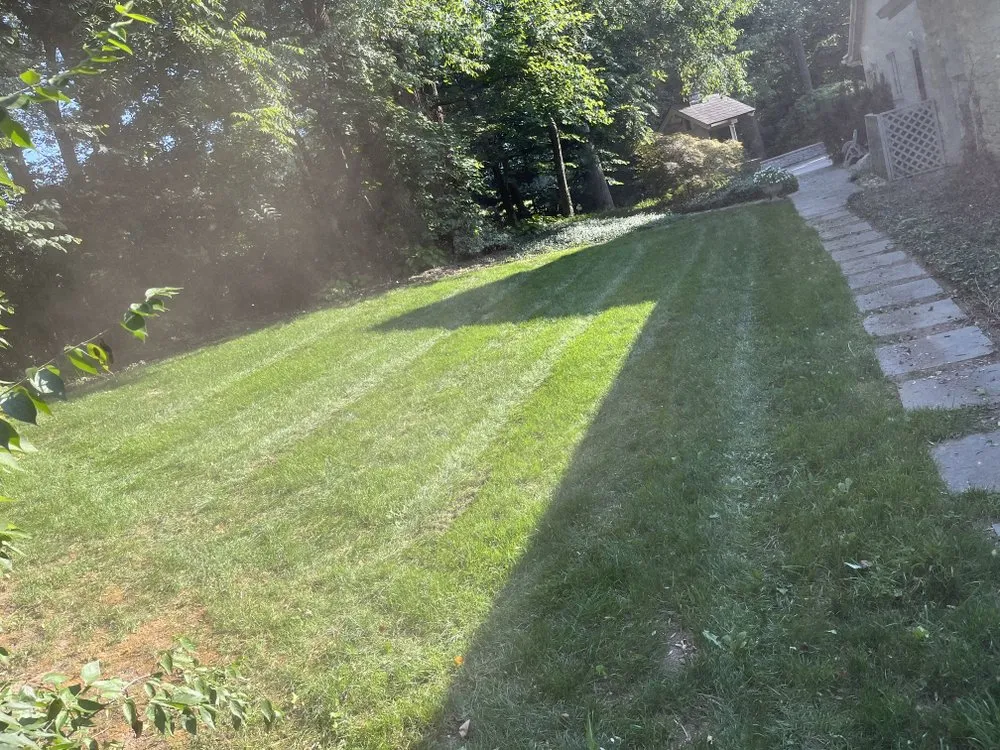 Professional lawn mowing service for beautiful yards in Mooresville, IN by A&w contracting