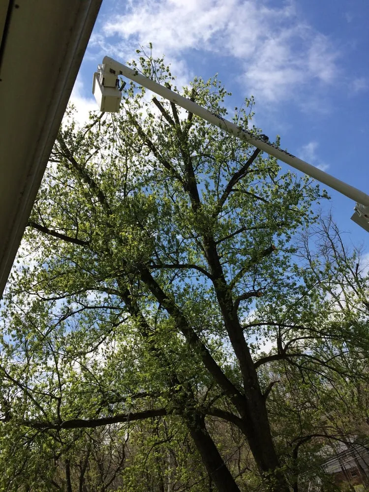 Professional garden landscaping in Raritan, NJ - A&W Landscape & Tree Service