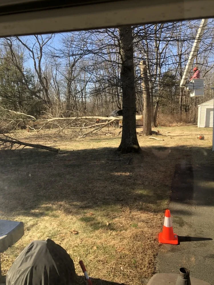 Local residential landscaping for residential properties across Raritan, NJ - A&W Landscape & Tree Service