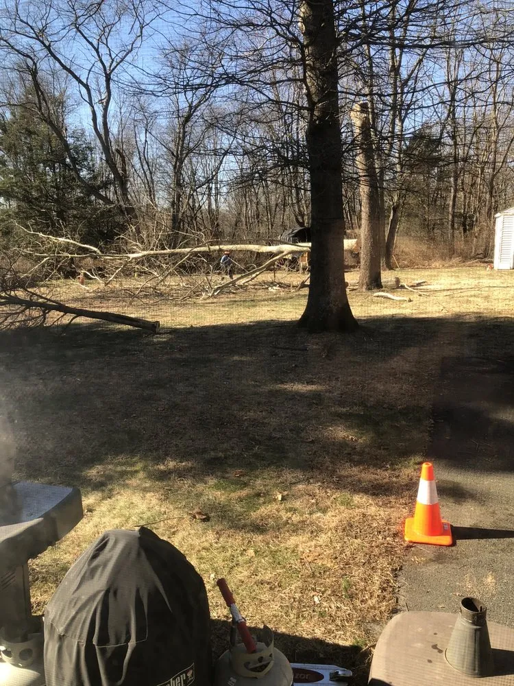 Affordable landscape design for year-round maintenance in Raritan, NJ by A&W Landscape & Tree Service