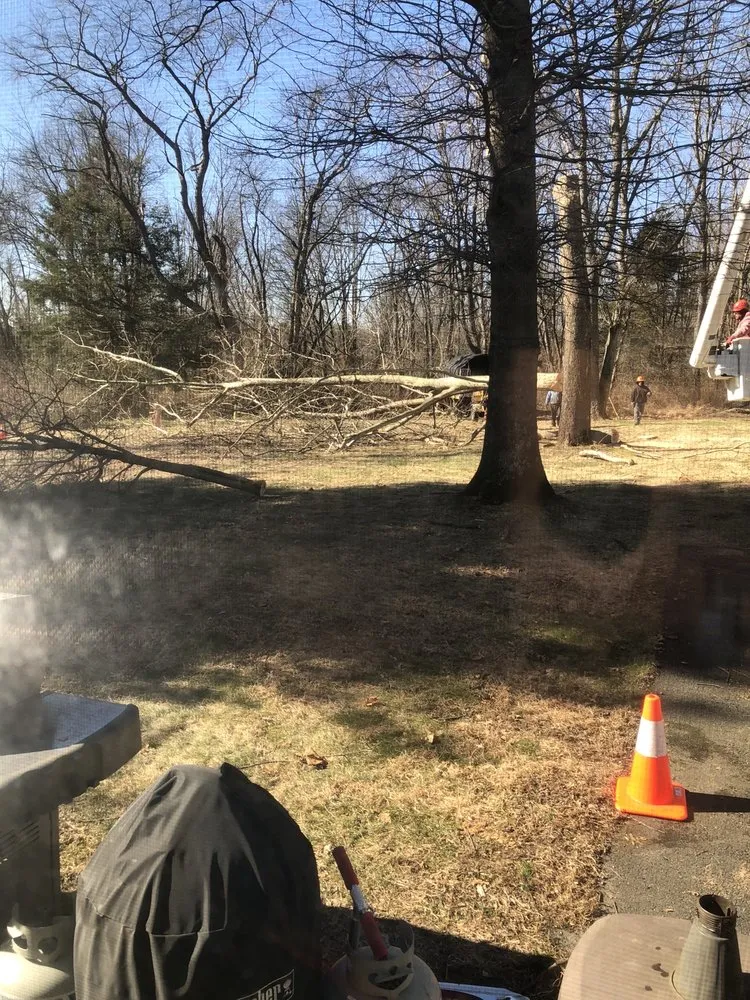 Affordable residential landscaping in Raritan, NJ - A&W Landscape & Tree Service