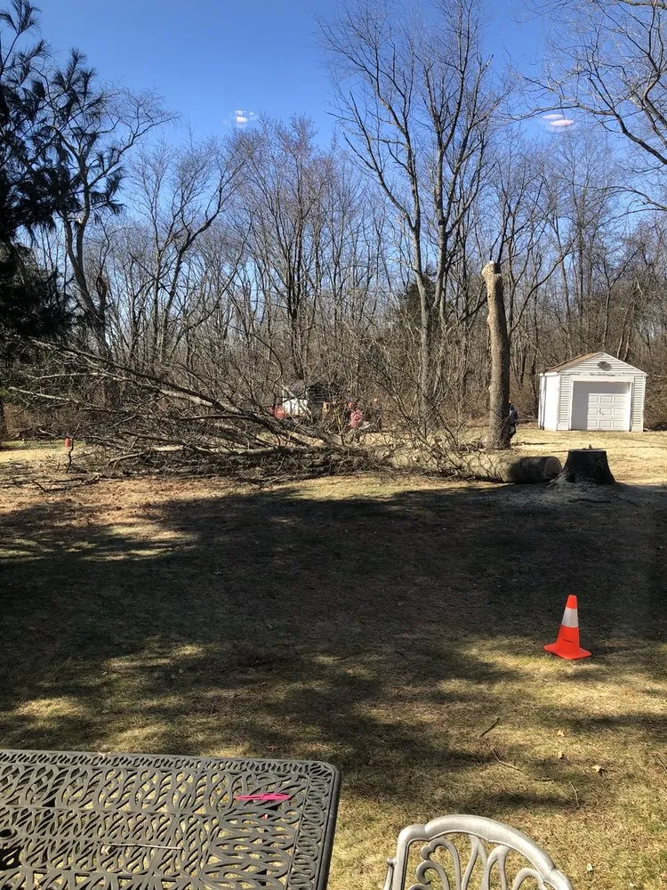 Local lawn mowing service in Raritan, NJ by A&W Landscape & Tree Service