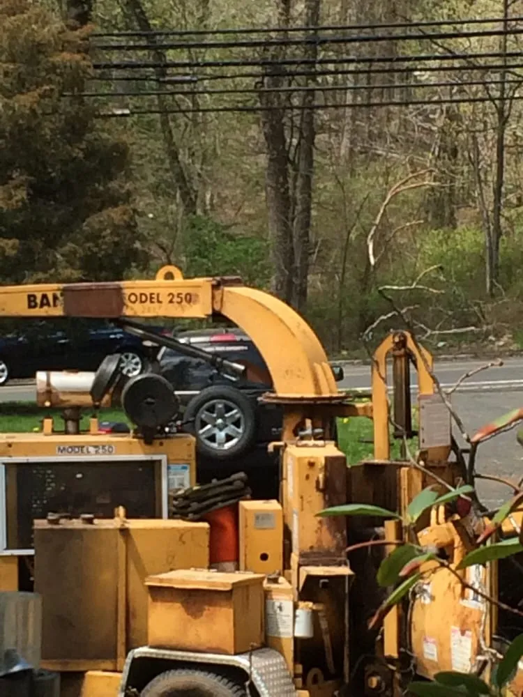 Trusted landscape design for year-round maintenance in Raritan, NJ by A&W Landscape & Tree Service