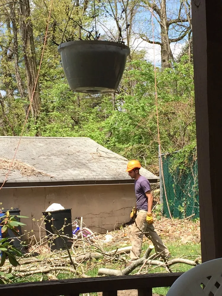 Trusted outdoor landscaping for year-round maintenance across Raritan, NJ - A&W Landscape & Tree Service