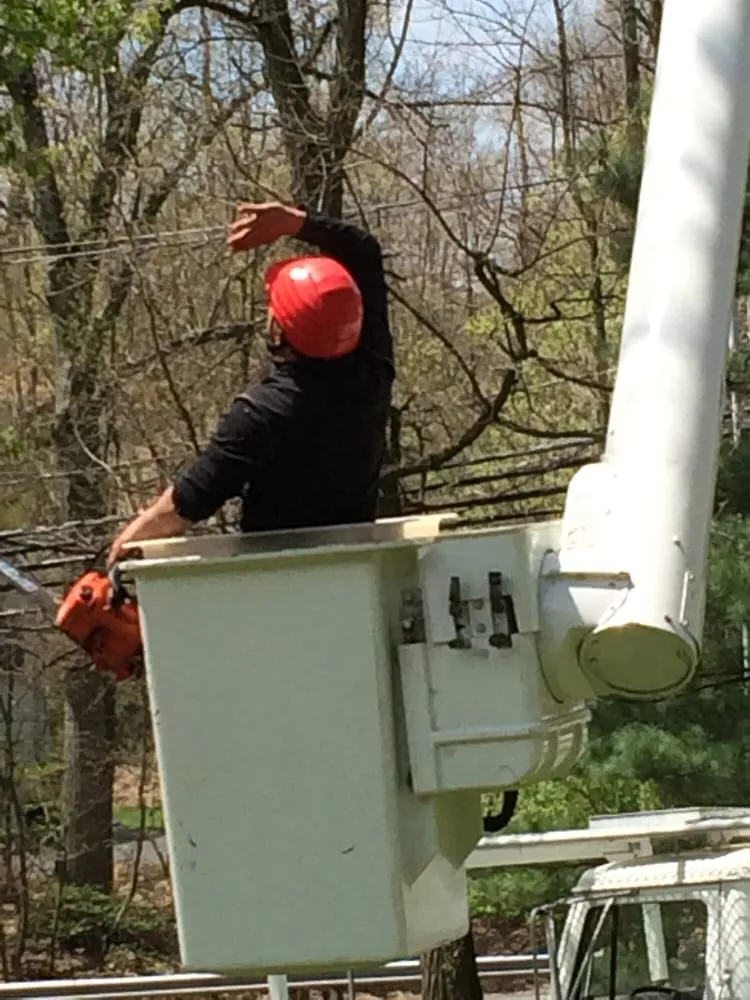 Professional yard cleanup service experts serving Raritan, NJ - A&W Landscape & Tree Service