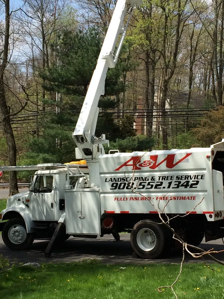 Trusted yard cleanup service for residential properties across Raritan, NJ - A&W Landscape & Tree Service