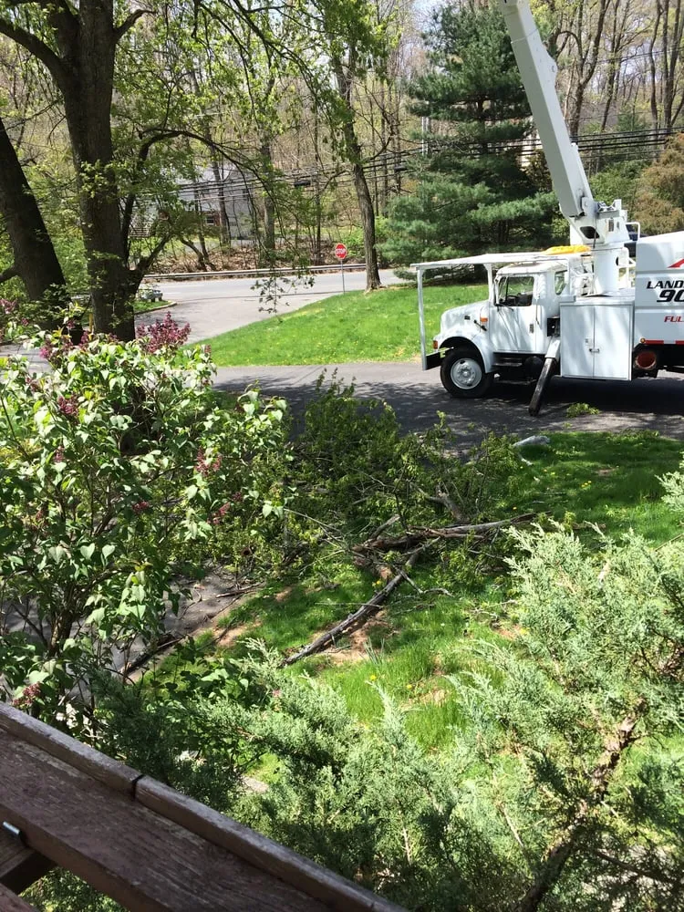 Trusted yard cleanup service for outdoor upgrades in Raritan, NJ by A&W Landscape & Tree Service