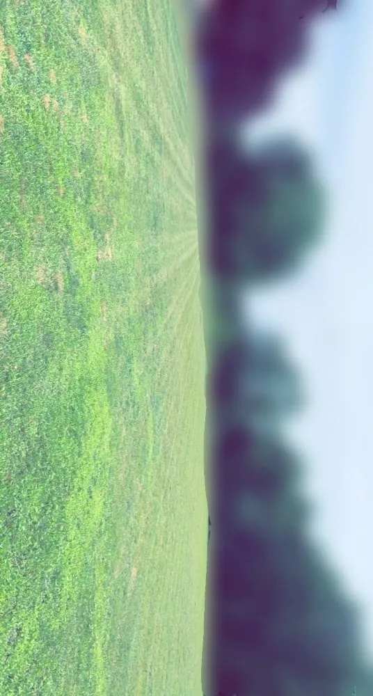 Expert landscaping services near you across Hudson Falls, NY - A&W Landscaping and Snow Removal