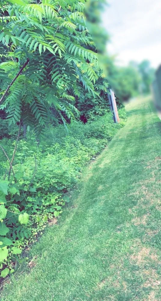 Affordable lawn care service for year-round maintenance across Hudson Falls, NY - A&W Landscaping and Snow Removal