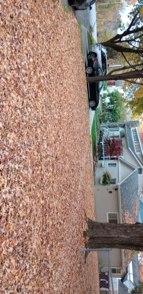 Custom lawn care service for homes across Hudson Falls, NY - A&W Landscaping and Snow Removal